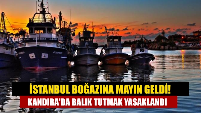 İstanbul boğazına mayın geldi! Kandırada balık tutmak yasaklandı