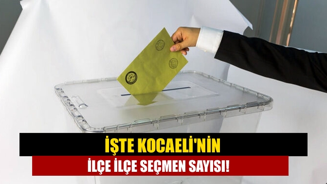 İşte Kocaelinin ilçe ilçe seçmen sayısı!