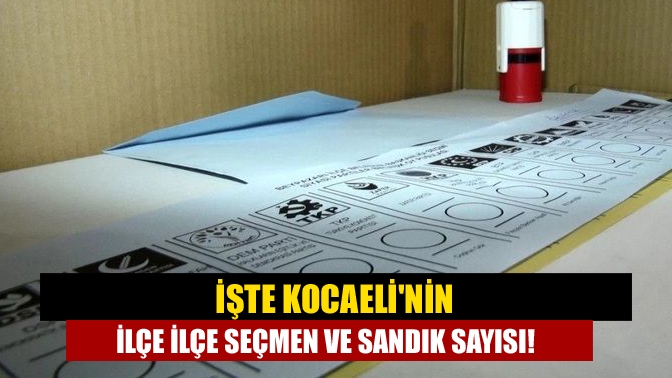 İşte Kocaelinin ilçe ilçe seçmen ve sandık sayısı!