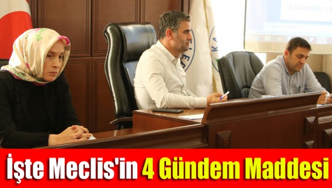 İşte Meclis'in 4 gündem maddesi