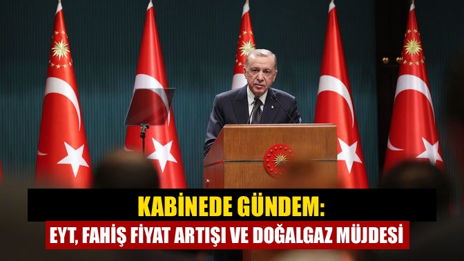 Kabinede gündem: EYT, fahiş fiyat artışı ve doğalgaz müjdesi