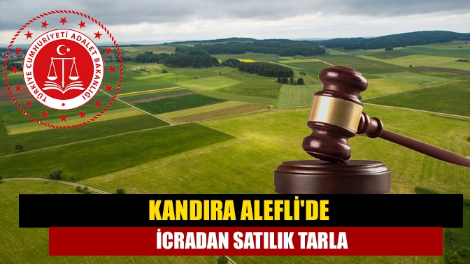 Kandıra Aleflide icradan satılık tarla