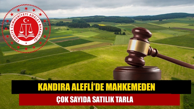 Kandıra Aleflide mahkemeden çok sayıda satılık tarla