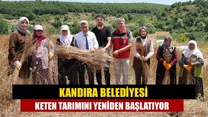 Kandıra Belediyesi Keten Tarımını Yeniden Başlatıyor