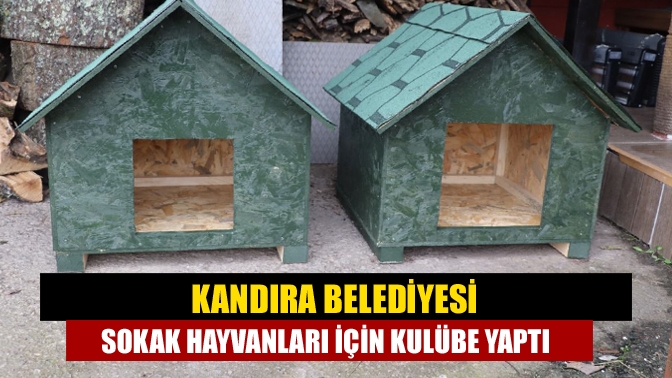 Kandıra Belediyesi sokak hayvanları için kulübe yaptı