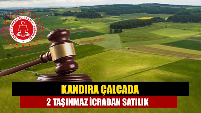 Kandıra Çalca'da satılık tarla