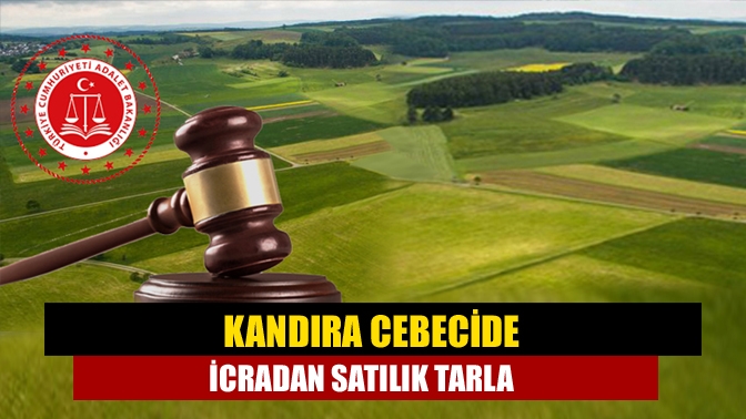 Kandıra Cebecide icradan satılık tarla