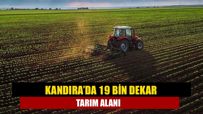 Kandıra’da 19 bin dekar tarım alanı