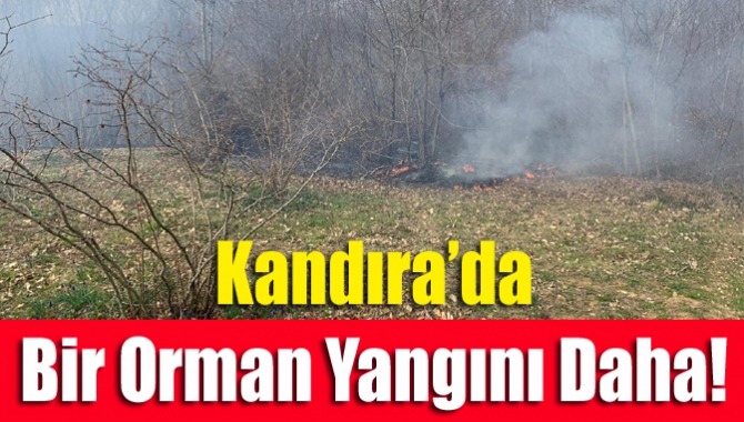 Kandıra’da bir orman yangını daha!