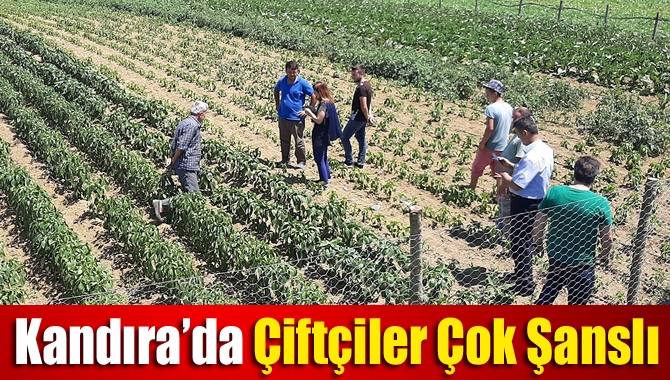 Kandıra’da ÇiftçilerÇok Şanslı