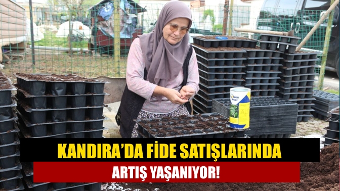 Kandıra’da fide satışlarında artış yaşanıyor!