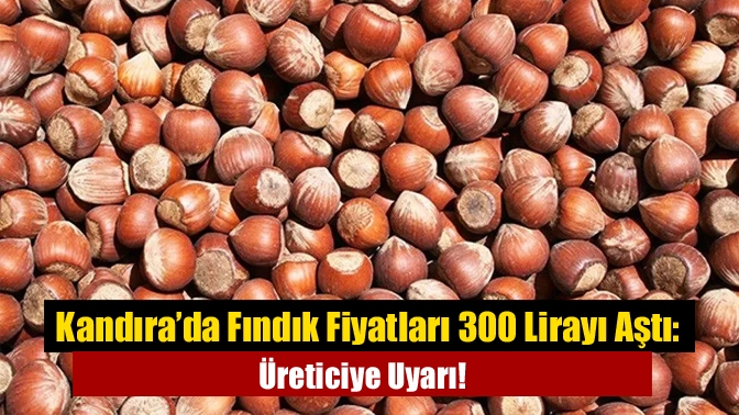 Kandıra’da Fındık Fiyatları 300 Lirayı Aştı: Üreticiye Uyarı!