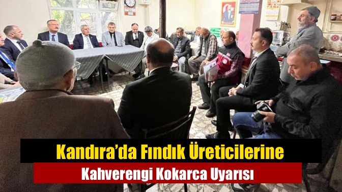 Kandıra’da Fındık Üreticilerine Kahverengi Kokarca Uyarısı