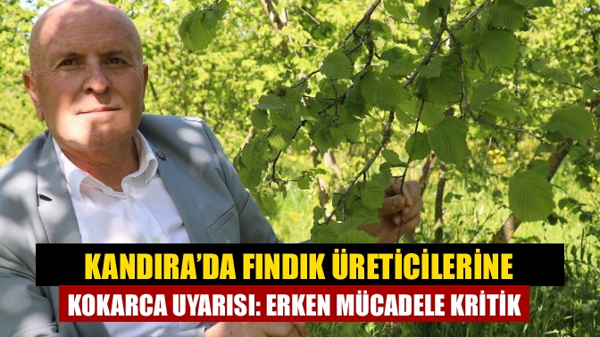 Kandıra’da Fındık Üreticilerine Kokarca Uyarısı: Erken Mücadele Kritik