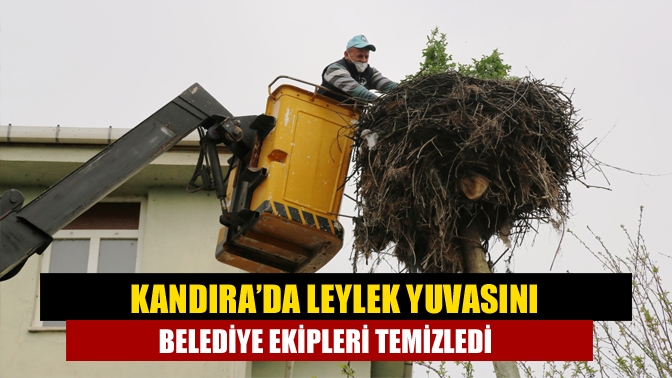 Kandıra ot basan leylek yuvasını belediye ekipleri temizledi