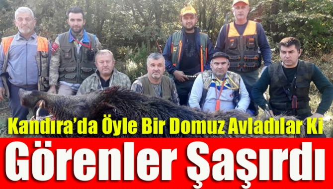 Kandıra’da Öyle Bir Domuz Avladılar Ki Görenler Şaşırdı