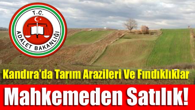 Kandıra’da tarım arazileri ve fındıklıklar mahkemeden satılık!