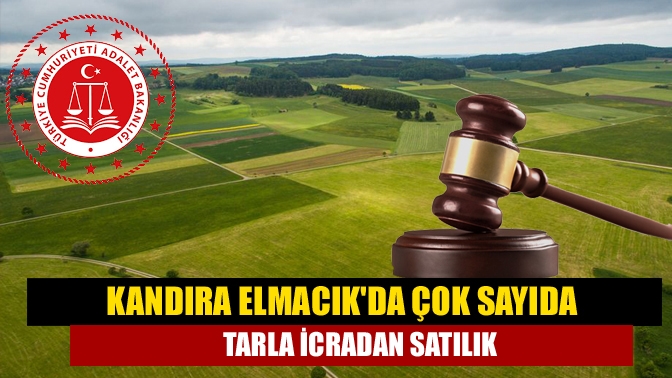 Kandıra Elmacıkda çok sayıda tarla icradan satılık