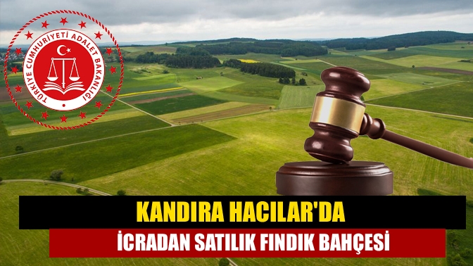 Kandıra Hacılarda icradan satılık fındık bahçesi