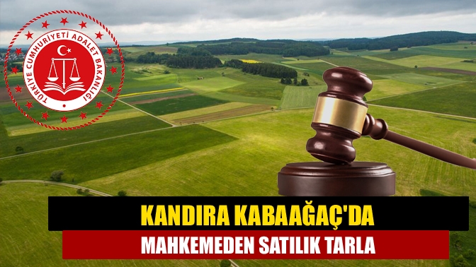 Kandıra Kabaağaçda mahkemeden satılık tarla