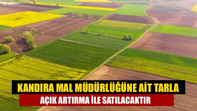 Kandıra Mal Müdürlüğüne ait tarla açık artırma ile satılacaktır