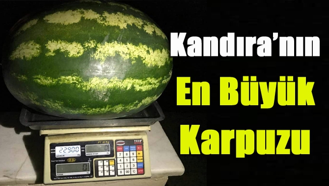 Kandıra’nın En Büyük Karpuzu