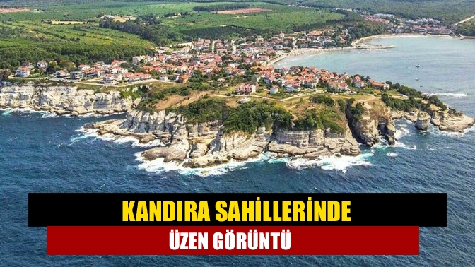 Kandıra sahillerinde üzen görüntü