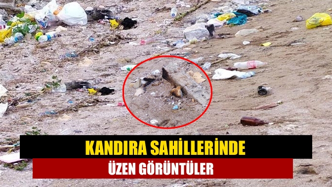 Kandıra sahillerinde üzen görüntüler