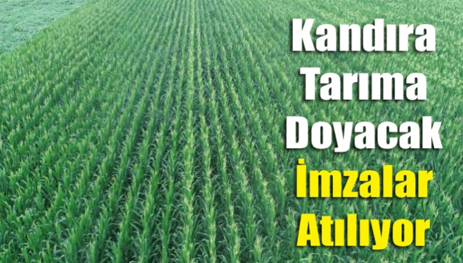 Kandıra tarıma doyacak imzalar atılıyor