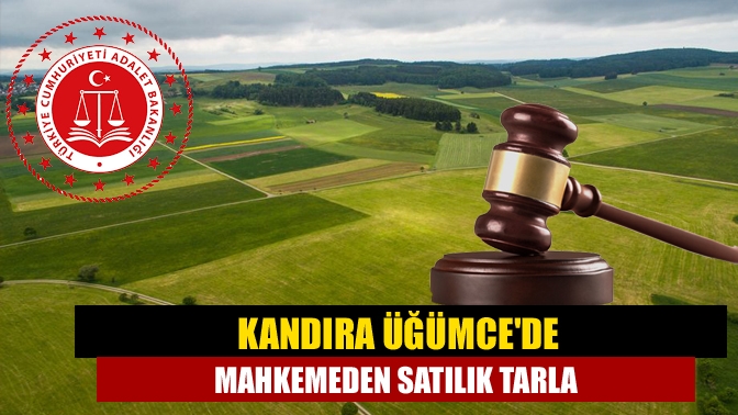 Kandıra Üğümcede mahkemeden satılık tarla