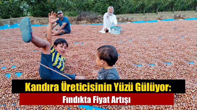 Kandıra Üreticisinin Yüzü Gülüyor: Fındıkta Fiyat Artışı