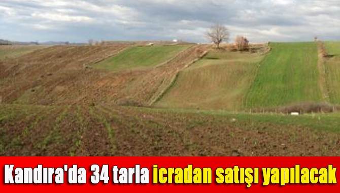 Kandıra'da 34 tarla icradan satışı yapılacak