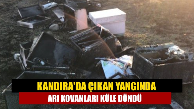 Kandırada çıkan yangında arı kovanları küle döndü