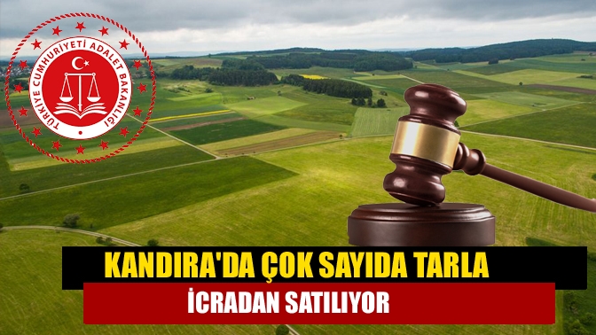 Kandırada çok sayıda tarla icradan satılıyor