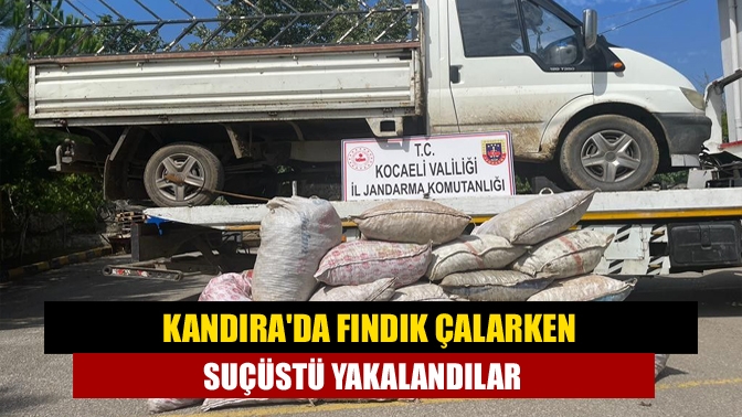 Kandırada Fındık çalarken suçüstü yakalandılar