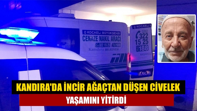 Kandırada incir ağaçtan düşen Civelek yaşamını yitirdi