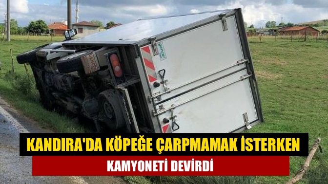 Köpeğe çarpmamak isterken kamyoneti devirdi