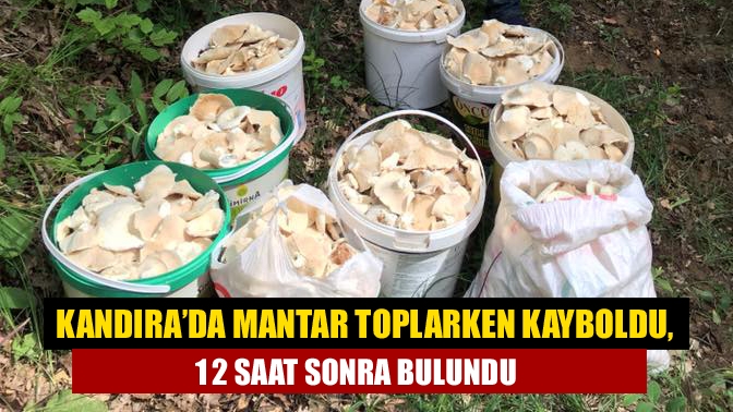 Mantar toplarken kayboldu, 12 saat sonra bulundu