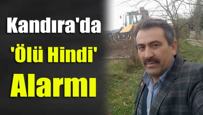 Kandıra'da 'Ölü Hindi' Alarmı