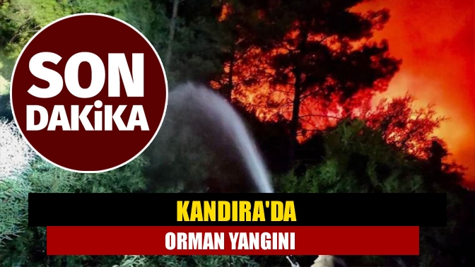 Kandırada Orman Yangını