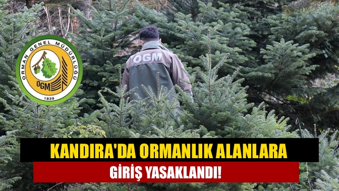 Kandırada ormanlık alanlara giriş yasaklandı!