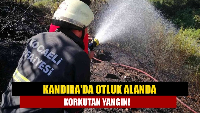 Kandırada Otluk alanda korkutan yangın!