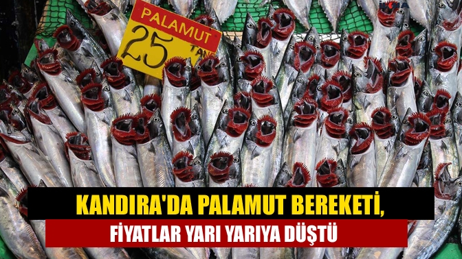 Kandırada palamut bereketi, fiyatlar yarı yarıya düştü