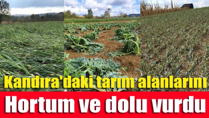 Kandıra'daki tarım alanlarını hortum ve dolu vurdu