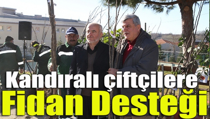 Kandıralı çiftçilere fidan desteği