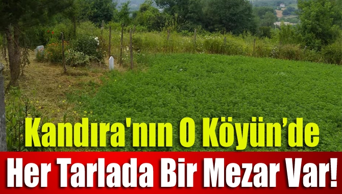 Kandıra'nın O Köyün’de Her tarlada bir mezar var!