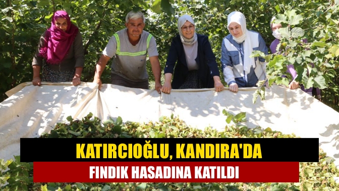 Katırcıoğlu, Kandıra'da fındık hasadına katıldı