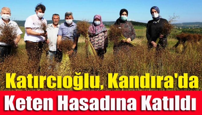 Katırcıoğlu, Kandıra'da keten hasadına katıldı