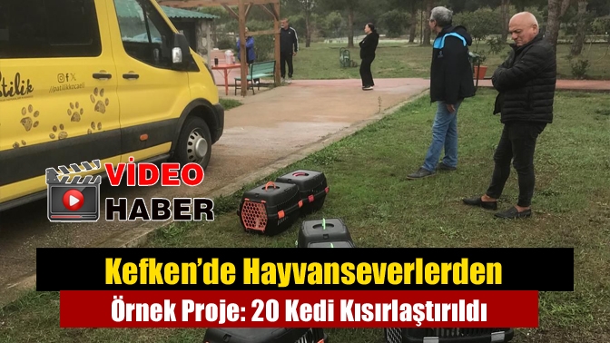 Kefken’de Hayvanseverlerden Örnek Proje: 20 Kedi Kısırlaştırıldı