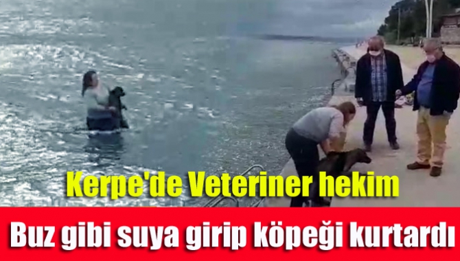Kerpe'de Veteriner hekim buz gibi suya girip köpeği kurtardı